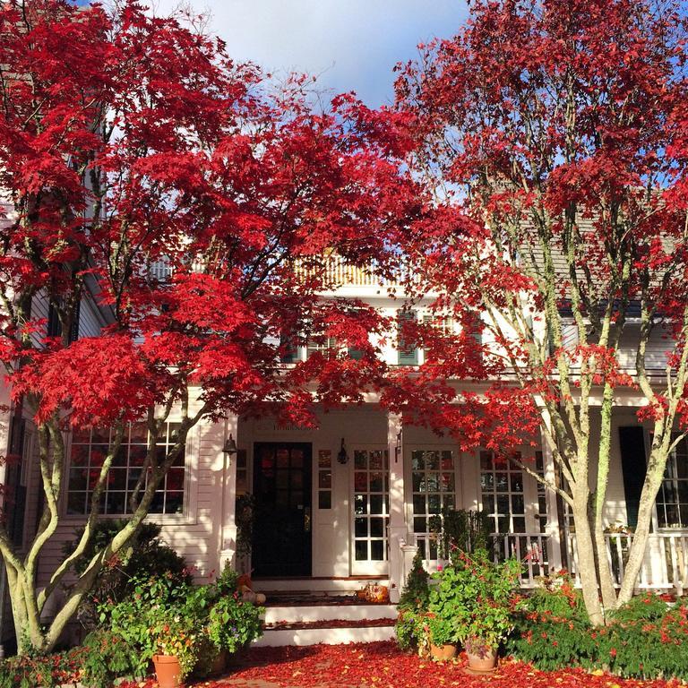 Hotel Hob Knob Edgartown Zewnętrze zdjęcie